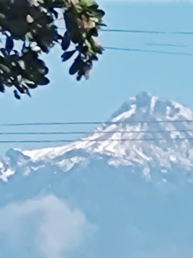 1050 miranda tire 768x1024