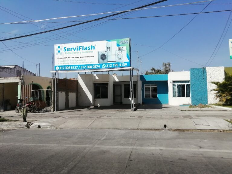 1163 servi flash 768x576