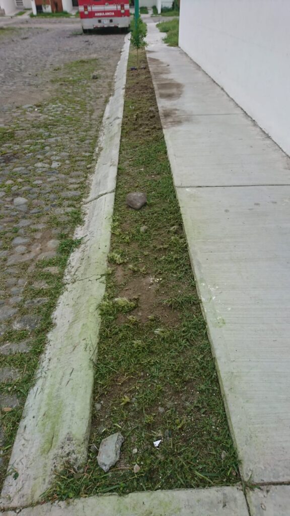 1262 jardineria moreno 576x1024