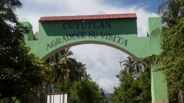 1317 huerto de coco organico 8211 rancho la curva 8211 cuyutlan 768x432