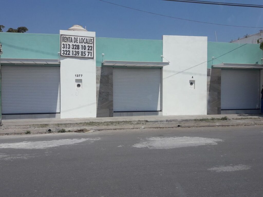 1537 productos de limpieza oso limpio 1024x768