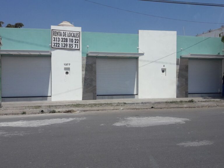 1537 productos de limpieza oso limpio 768x576