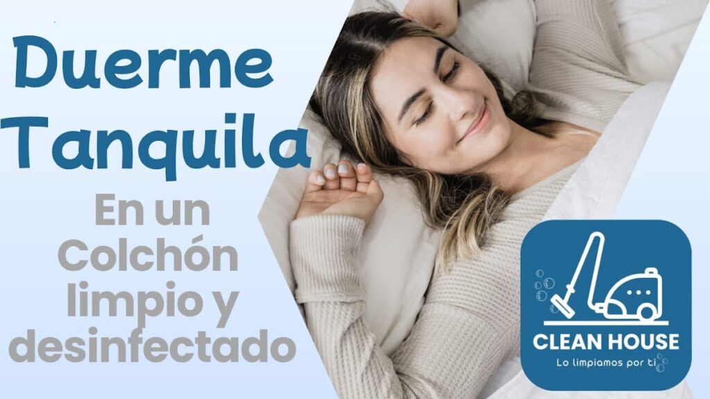 1543 clean house 1024x576