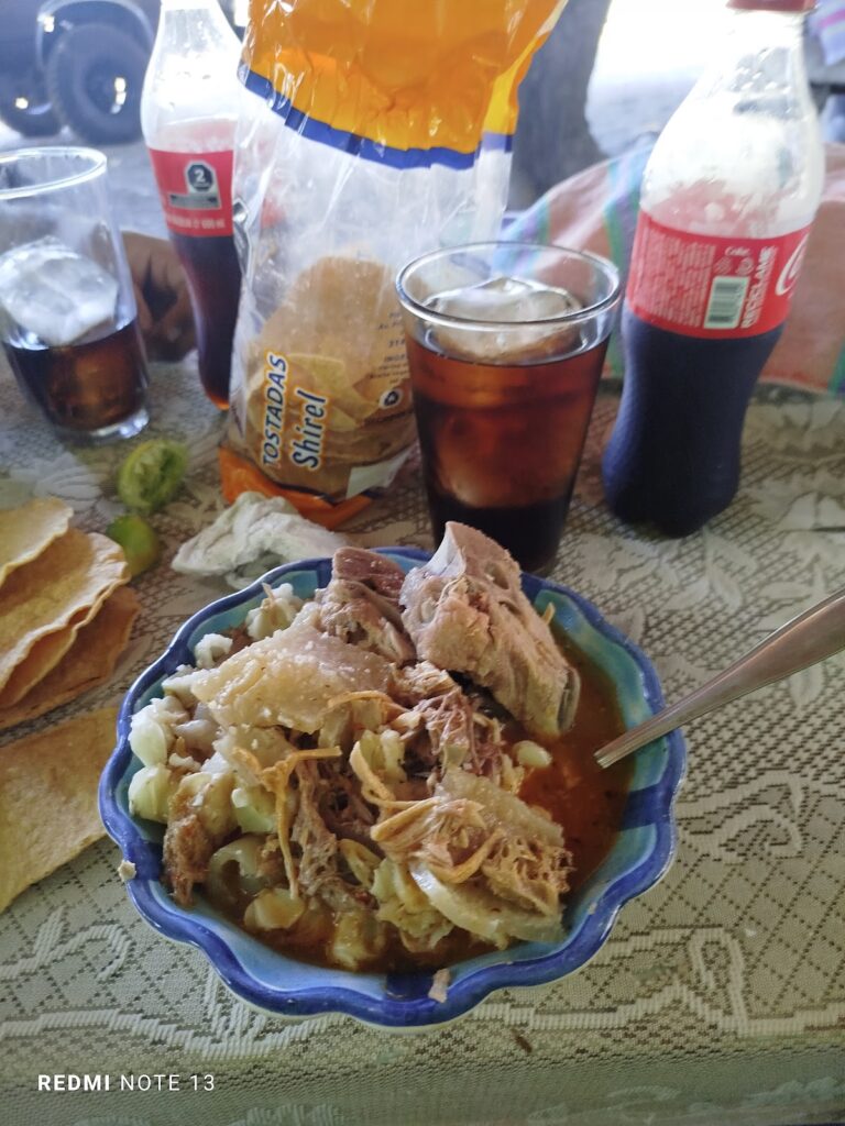 2116 colomos 768x1024