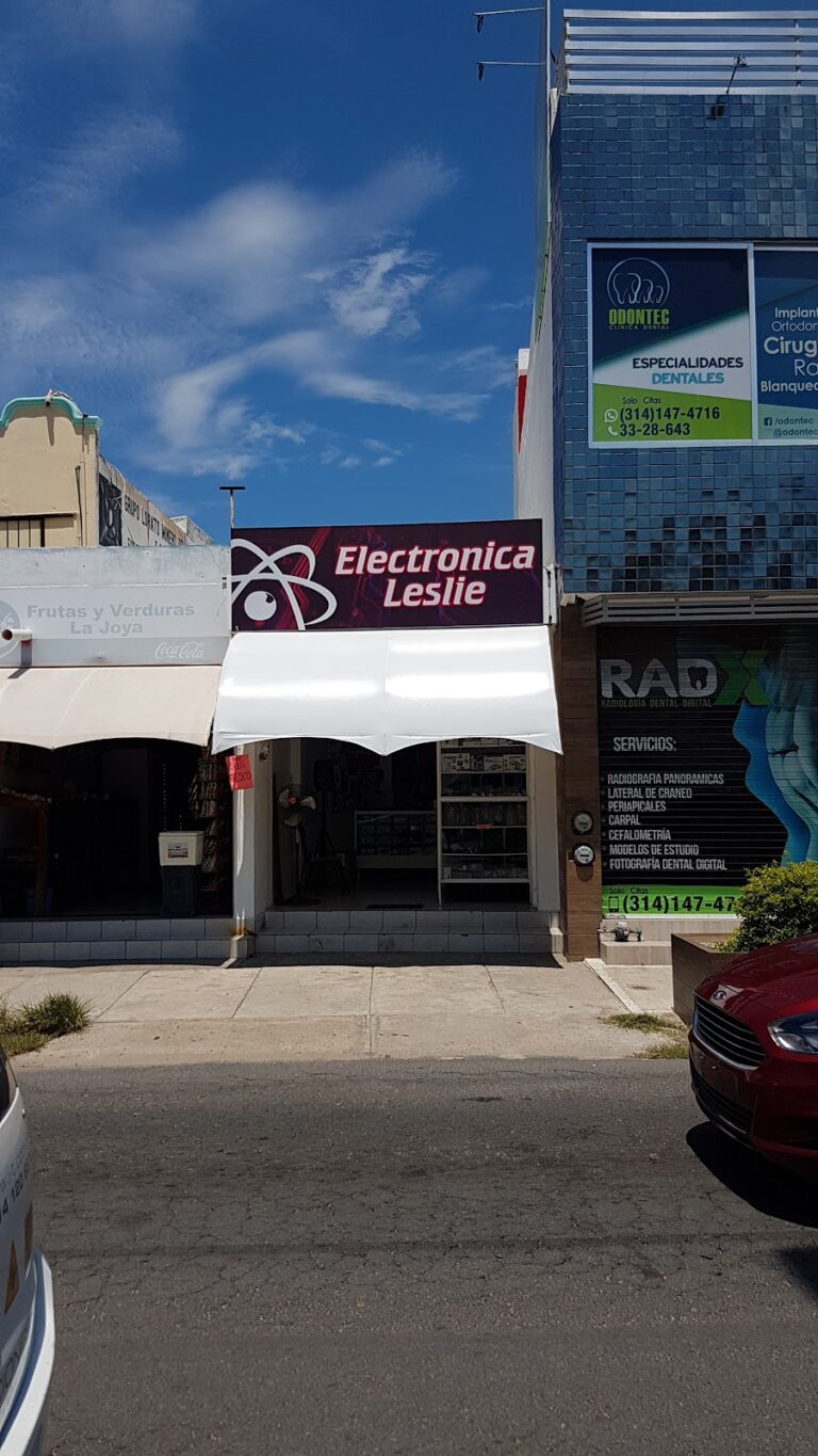 2202 electronica leslie 768x1365