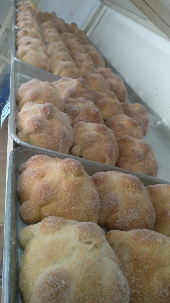 2610 panificadora max 576x1024