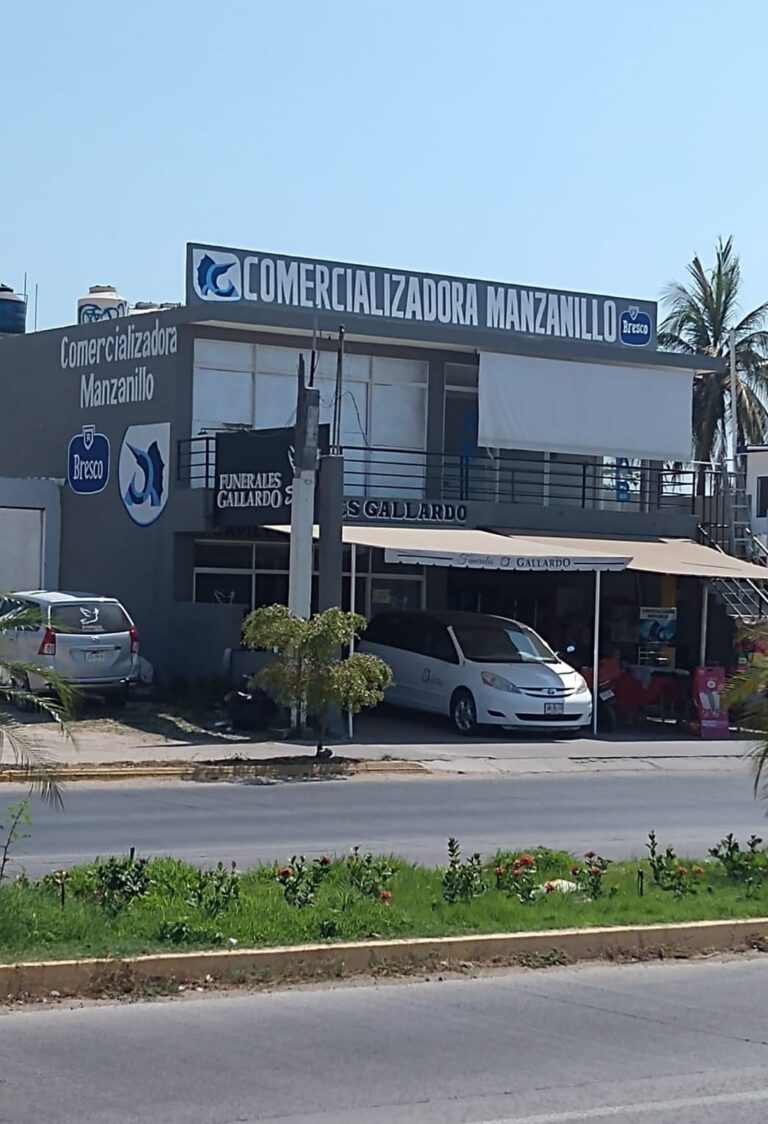 2662 comercializadora manzanillo 768x1124