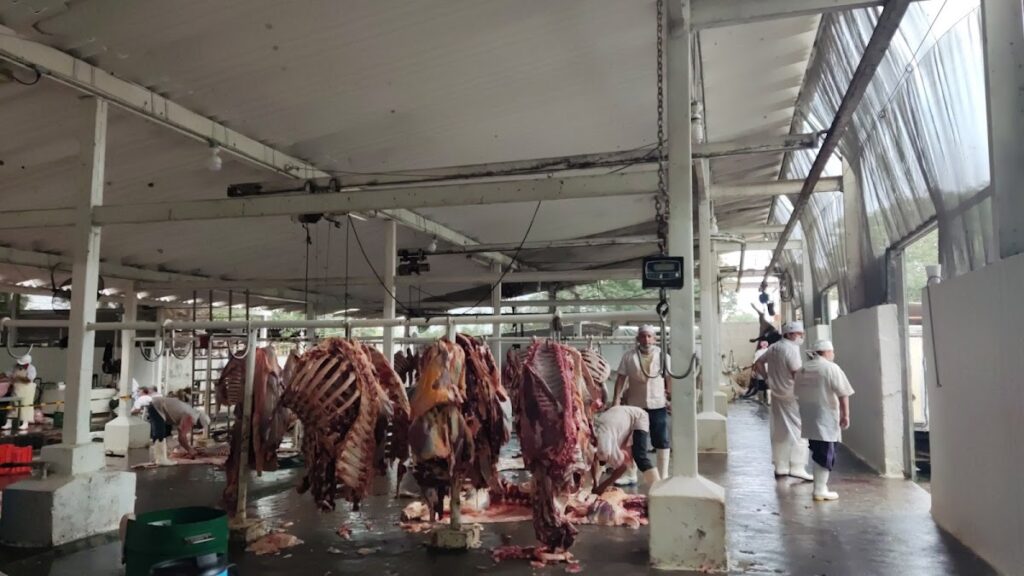 2721 rastro municipal tecoman 1024x576