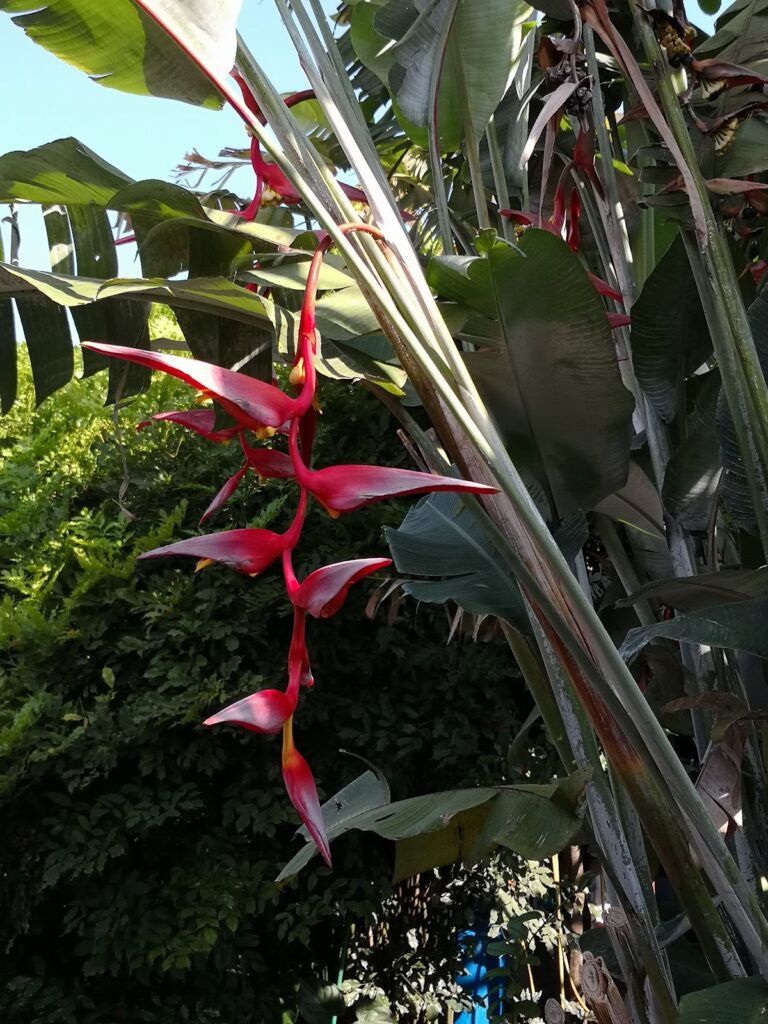 2805 loncheria 8220ana8221 carniceria 8220zamora8221 768x1024