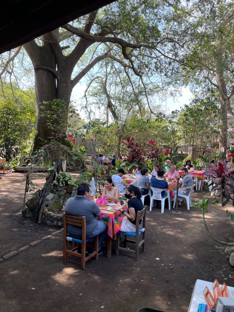 2854 la higuera de suchitlan 768x1024