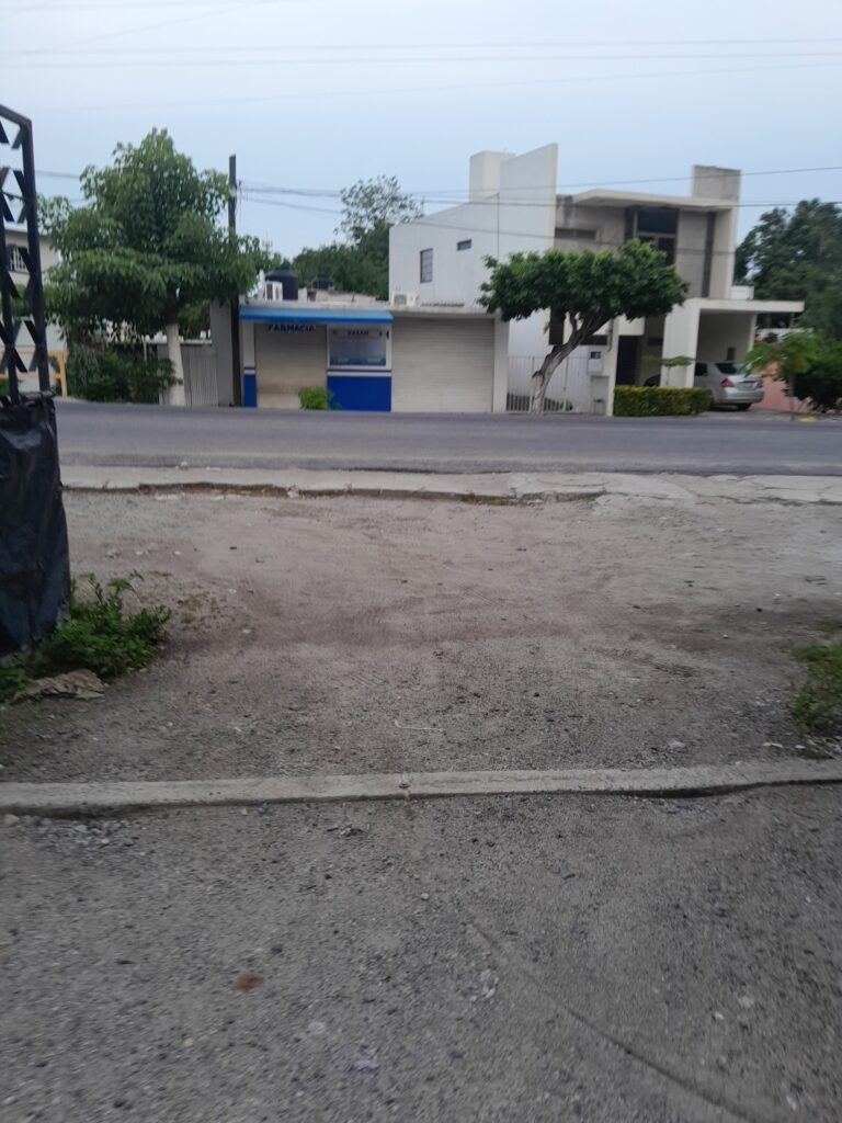 2889 el colomos 768x1024