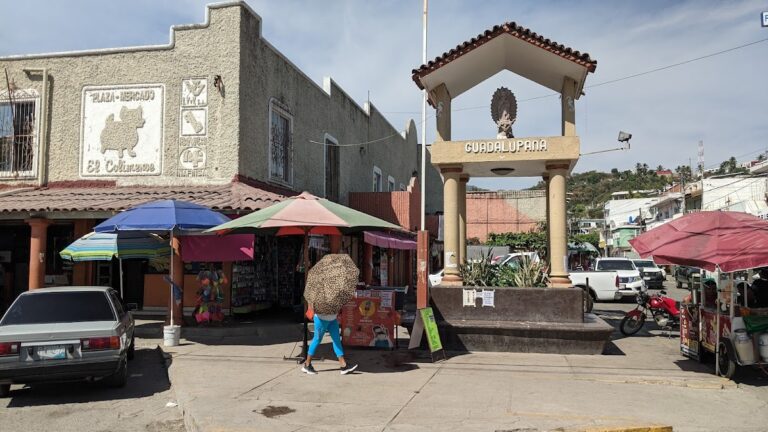 2957 polleria el pollo feliz 768x432