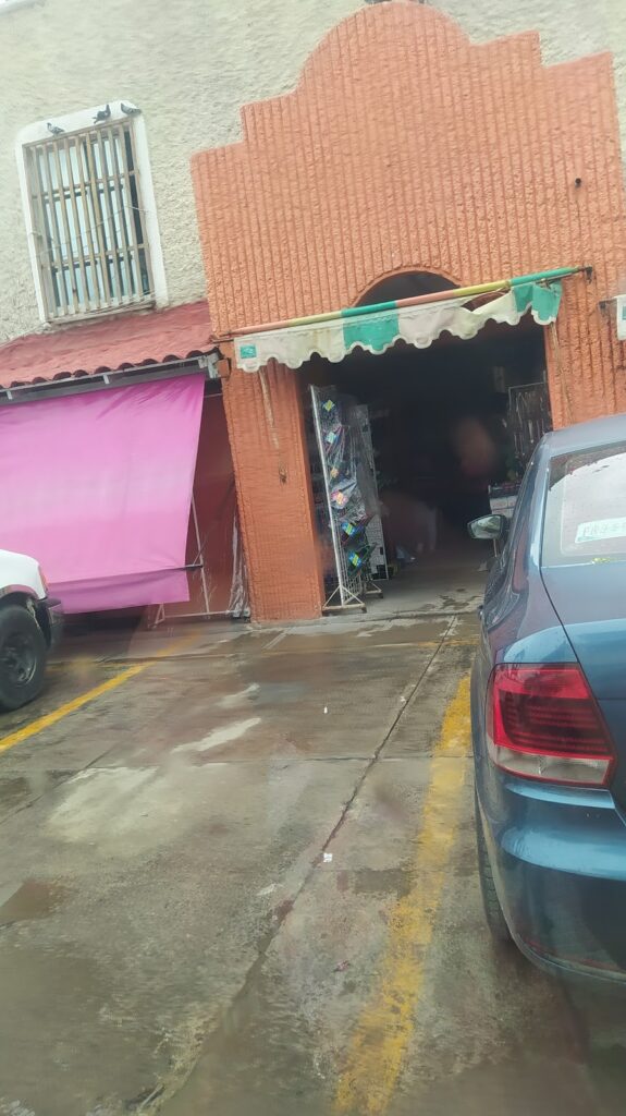 3016 mercado el colimense santiago 575x1024