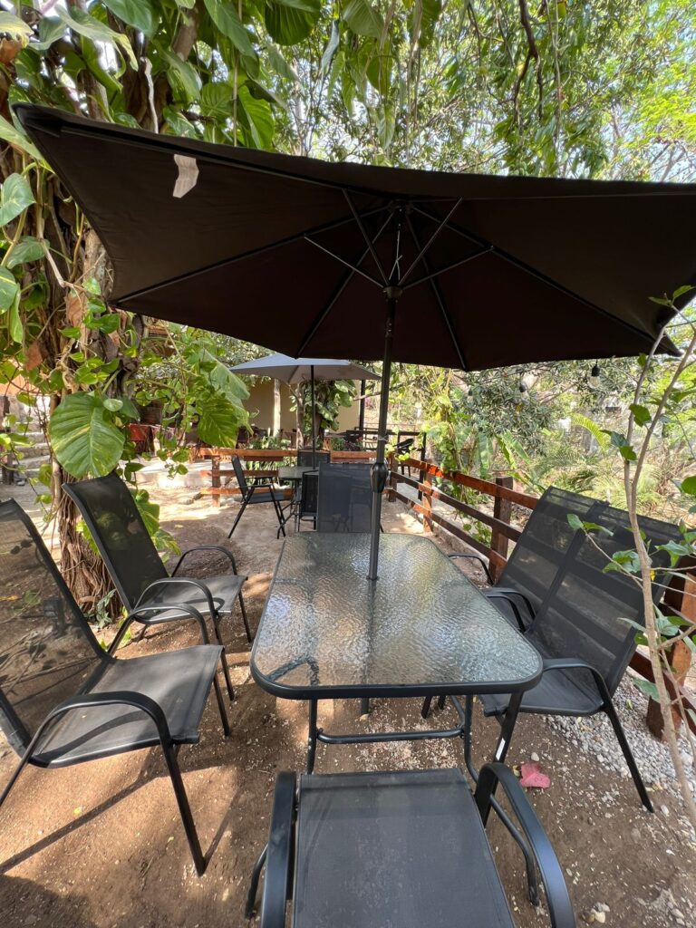 3102 cafe bar colibri 768x1024