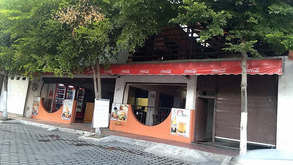 3108 el osito polar 1024x576