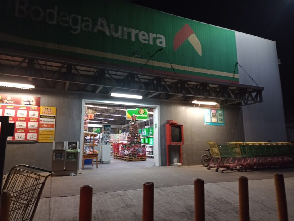 3129 mi bodega aurrera armeria 1024x769