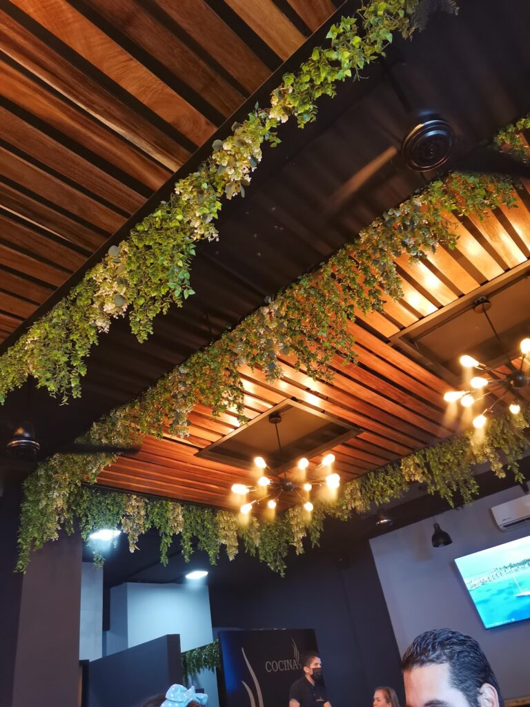 3176 cocina y brasas 768x1024