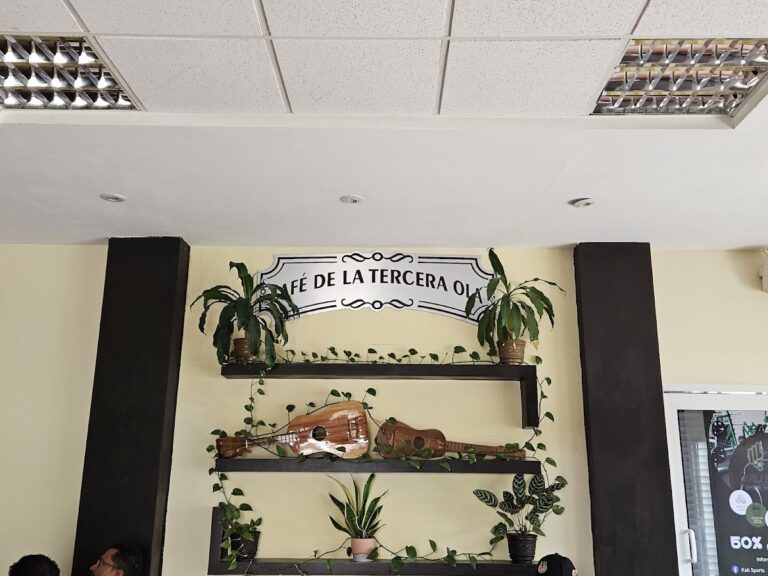 3244 cafeto kali 768x576