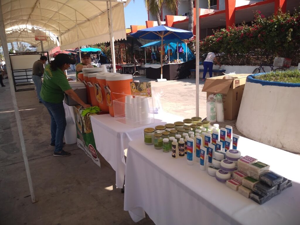 3328 ola verde mariscos 1024x768