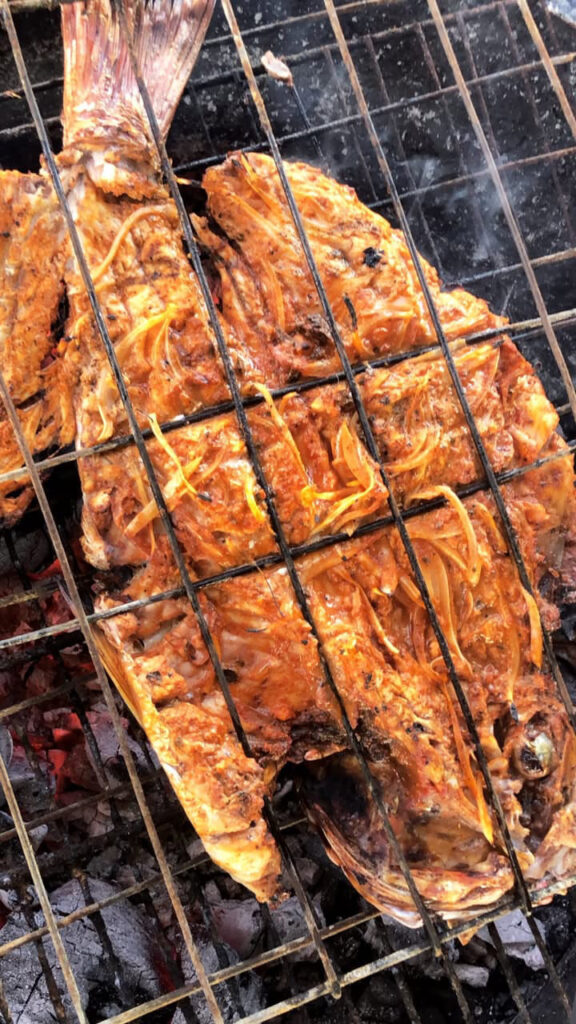 3342 mariscos el atardecer 576x1024