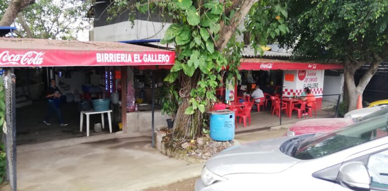 484 la hija del gallero 768x379