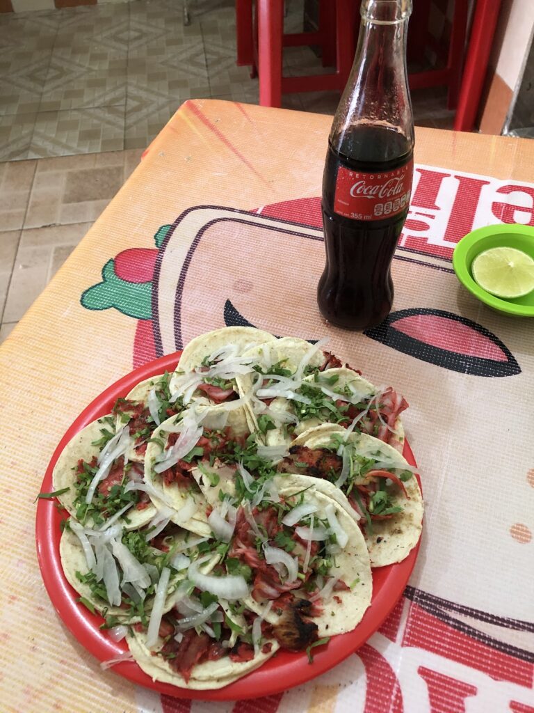 488 el taco feliz 768x1024