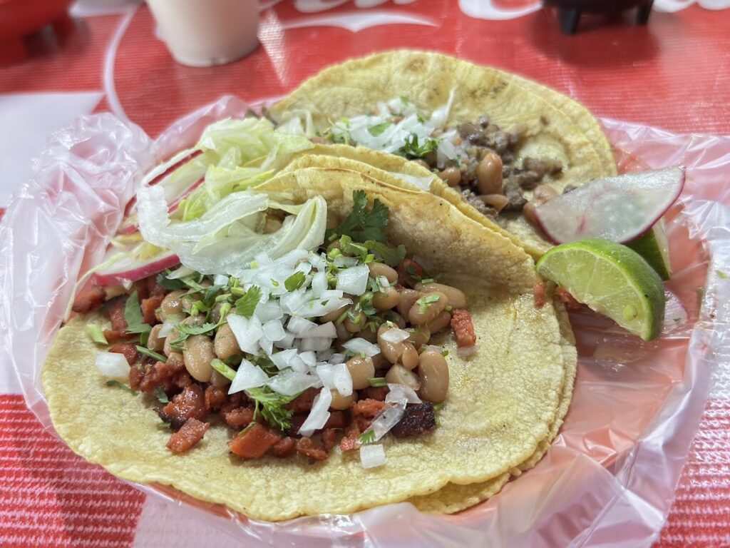 539 carnes asadas tecoman 1024x768