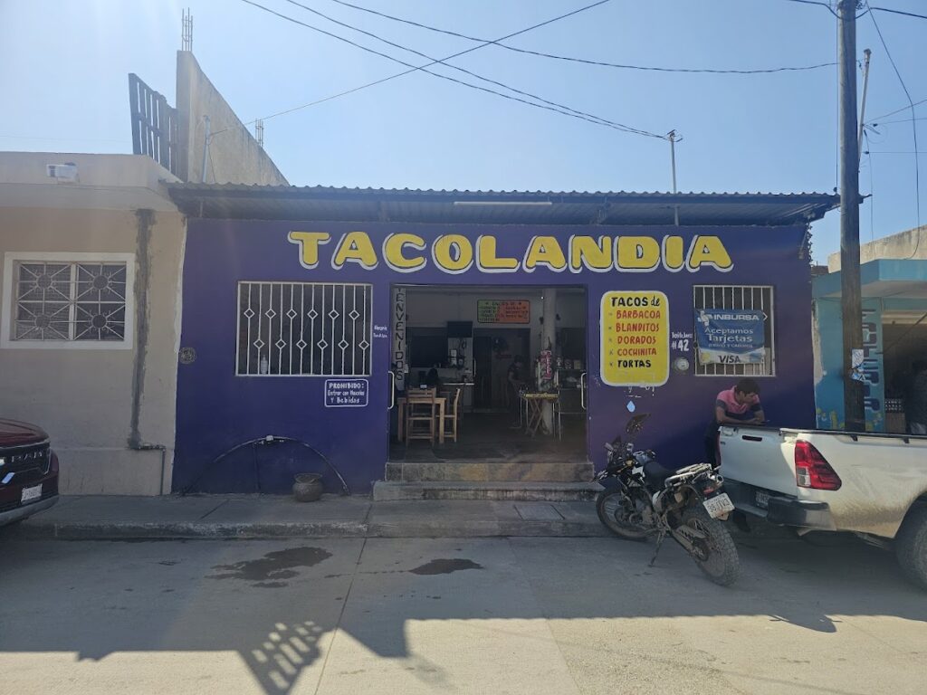 563 tacolandia 1024x768