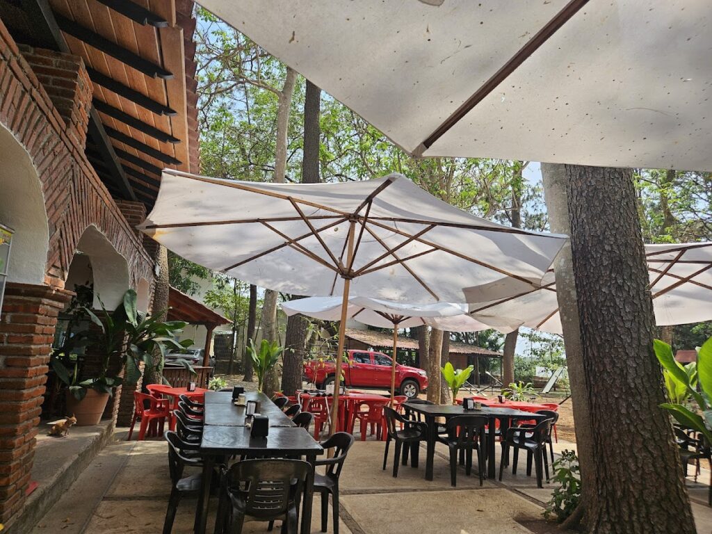 569 campestre san martin de los pinos 1024x768