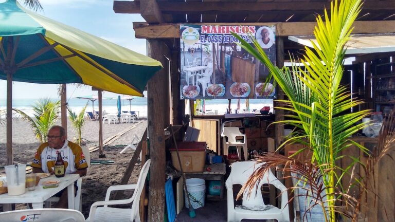 658 el oasis de don gato 768x432