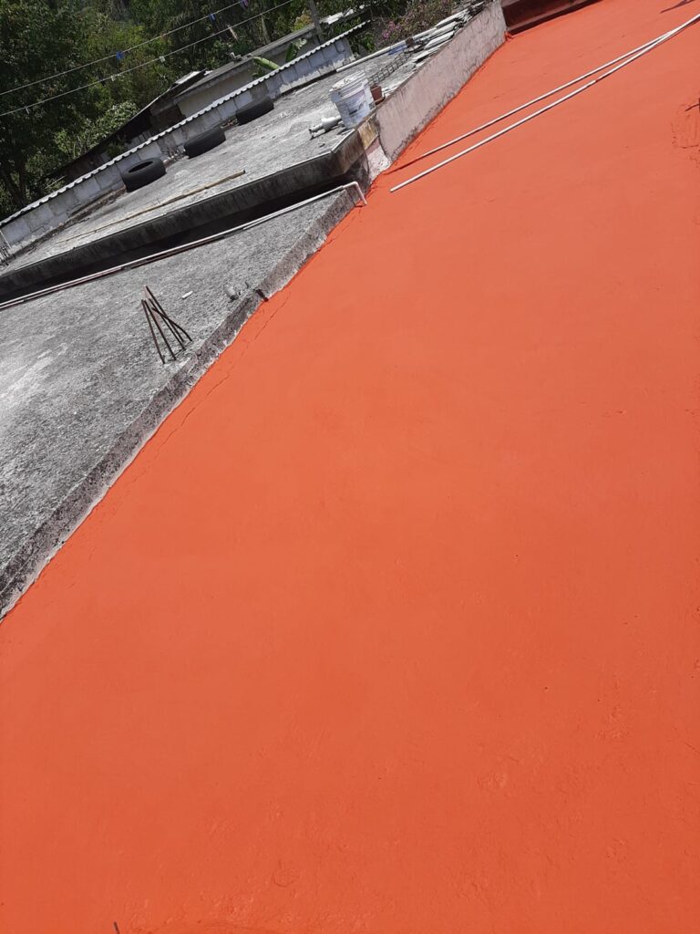 11879 pintura de casas don julio 768x1024