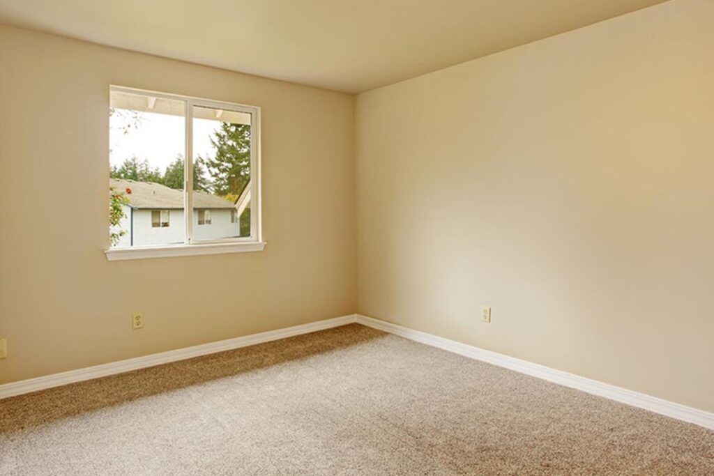 12118 albanileria martin 1024x683