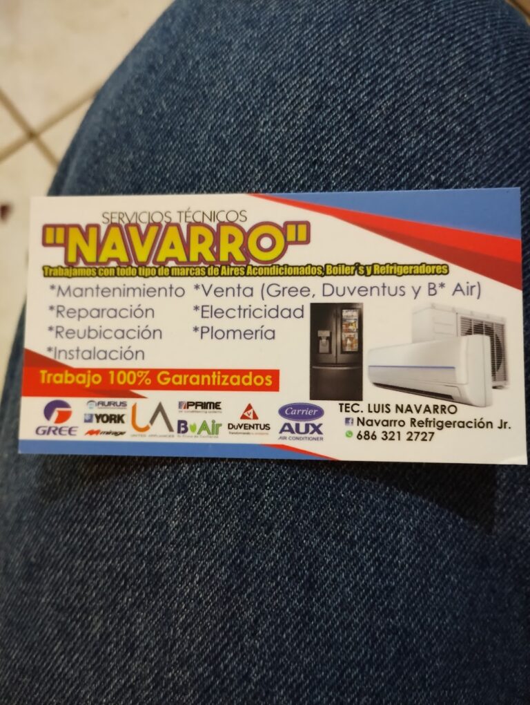 12307 servicios tecnicos navarro 768x1020