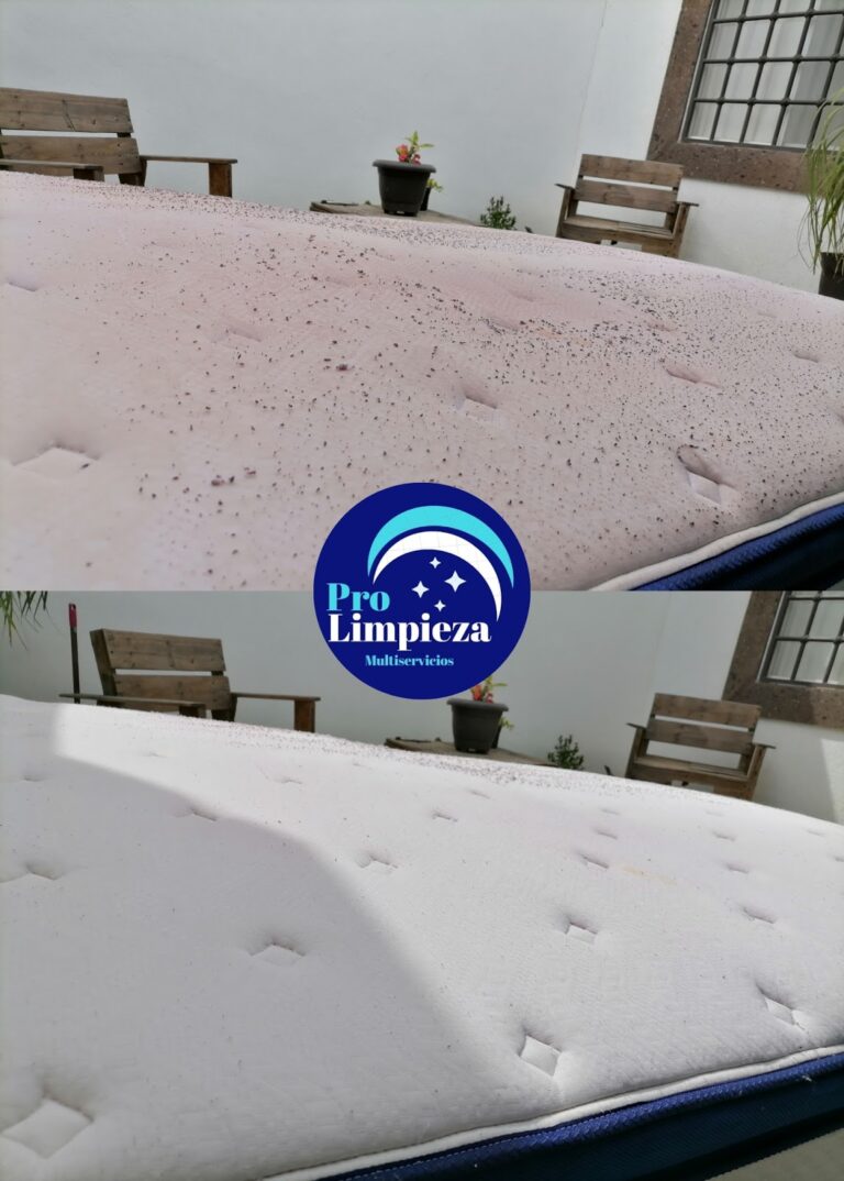 13833 pro limpieza multiservicios 768x1074