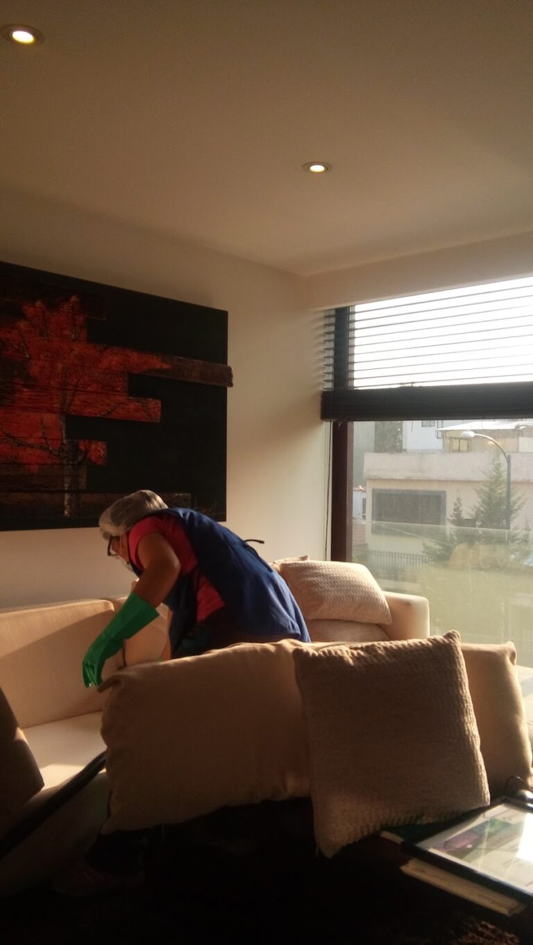 14112 casa limpia. ama tu vida ama tu hogar 768x1362