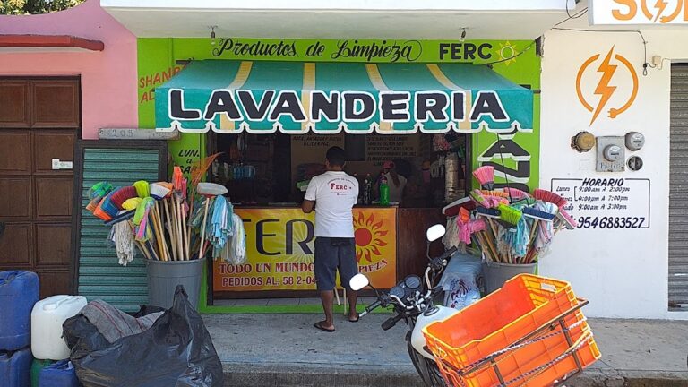 14231 ferco productos de limpieza 768x432