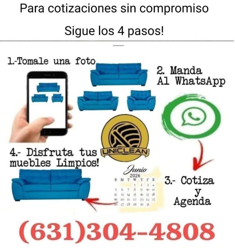 14339 uniclean limpieza de interiores 768x816