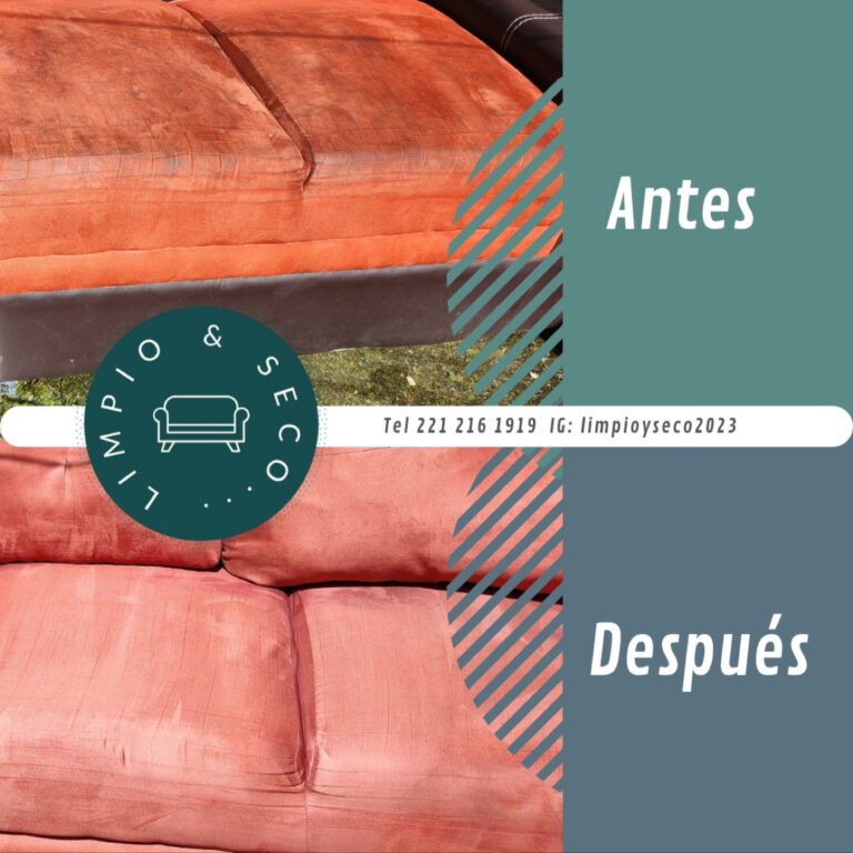 14395 limpio y seco tlaxcala 768x768