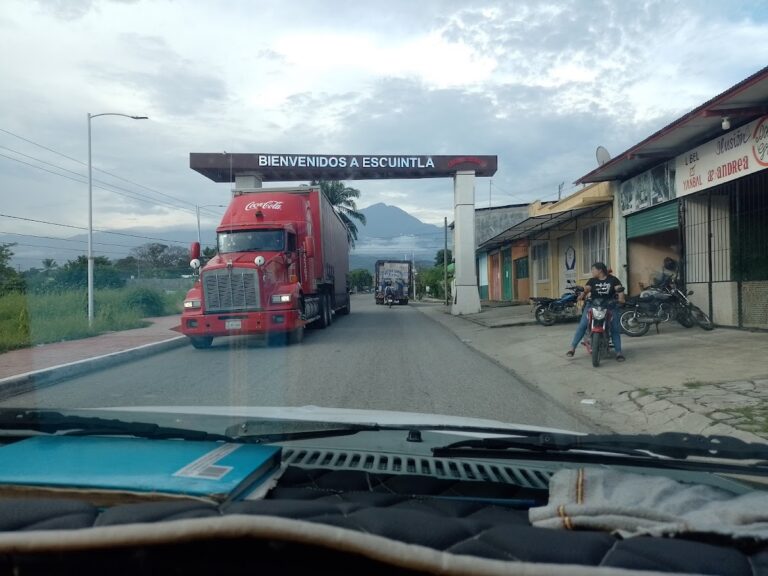 14464 mudanzas y fletes bolt 768x576