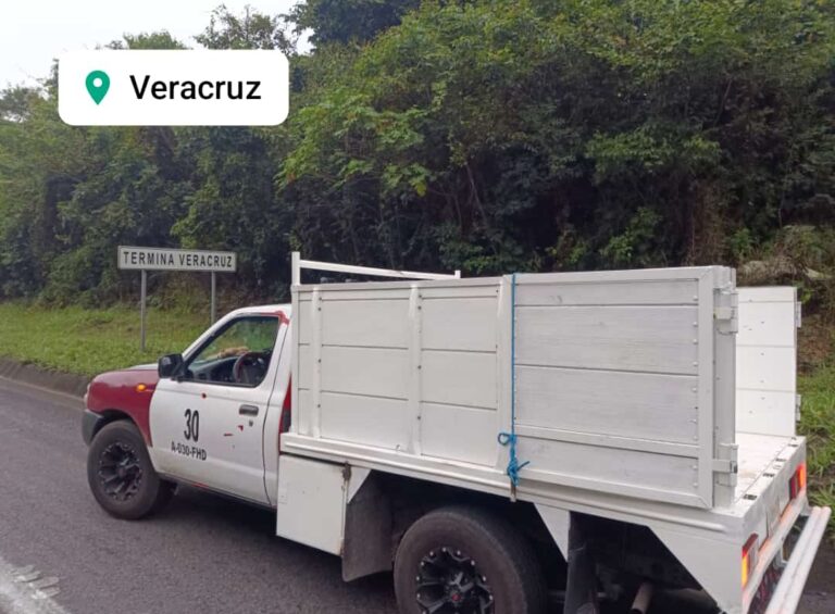 14553 mixtas fletes y mudanzas de chilpancingo 768x565