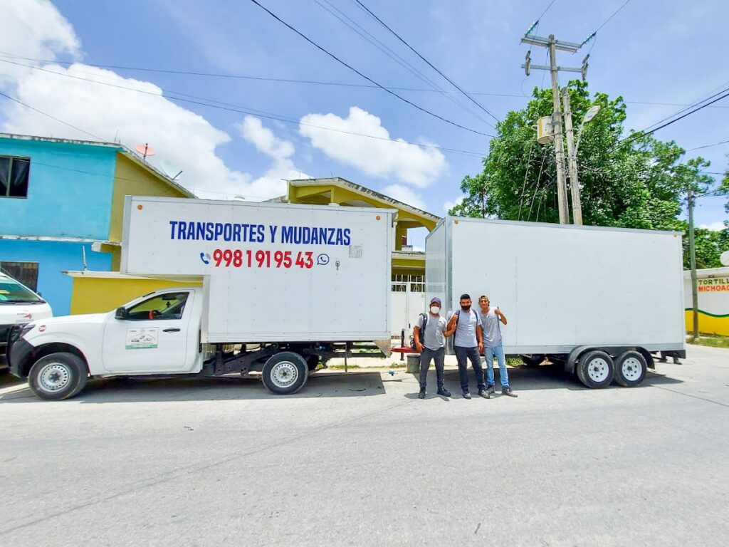 14713 mudanzas y fletes torres 1024x768