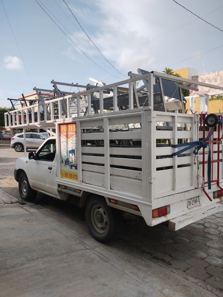 14769 fletes y mudanzas dumbo 771x1024