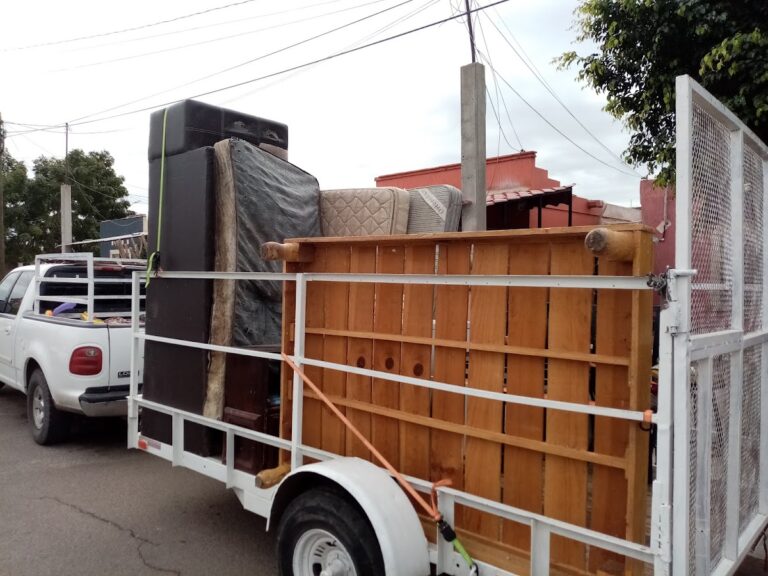 14771 fletes y mudanzas amavizca 768x576