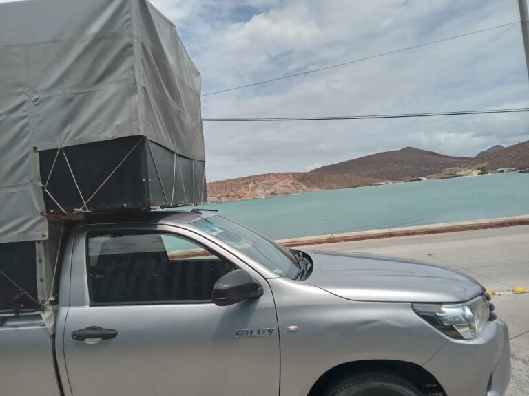 14788 mudanzas foraneas tampico 768x576