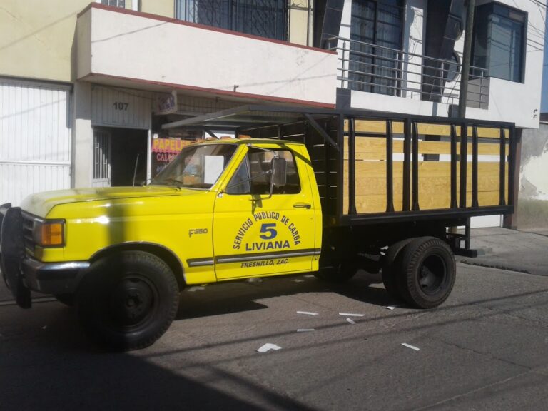 14838 servicio de carga liviana 5 768x576
