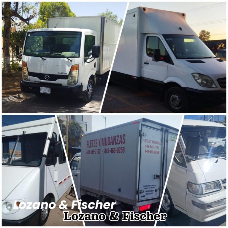 14840 mudanzas economicas aguascalientes y zacatecas lf 768x768