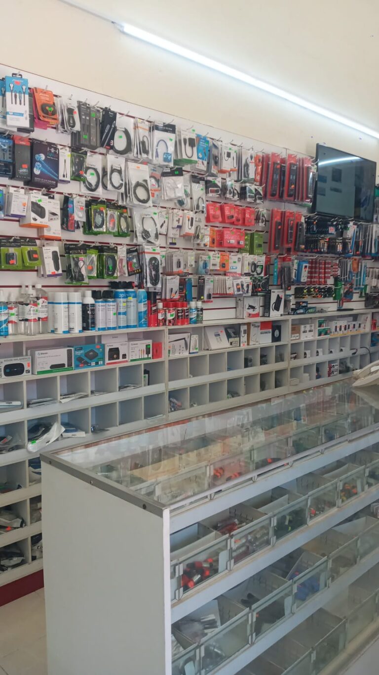 15945 electronica gonzalez 768x1365