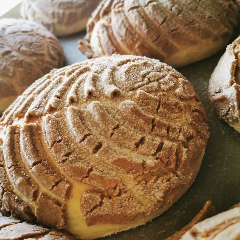 16286 panaderia la bufa 768x768