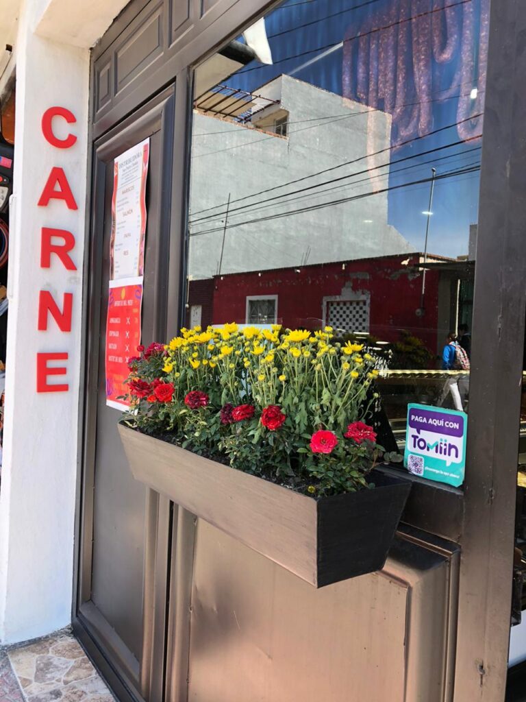 16511 distribuidora san pedro cholula 768x1024