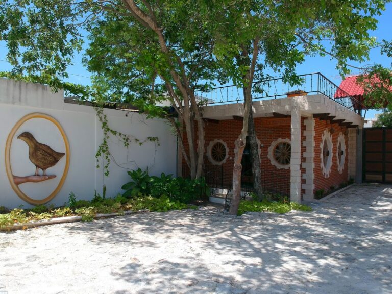 16523 la tiendita boutique de carnes 768x576